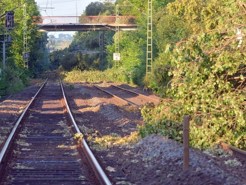 So sah es am Donnerstag noch auf der S-Bahnstrecke zwischen Essen und Bochum aus, hier in Wattenscheid.