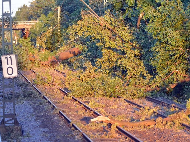 So sah es am Donnerstag noch auf der S-Bahnstrecke zwischen Essen und Bochum aus, hier in Wattenscheid.