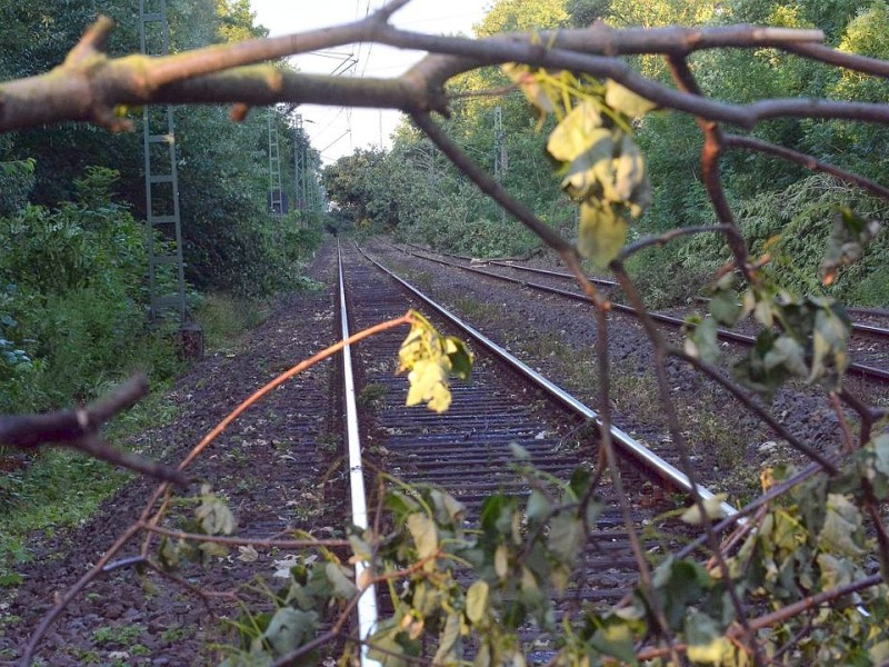 So sah es am Donnerstag noch auf der S-Bahnstrecke zwischen Essen und Bochum aus, hier in Wattenscheid.