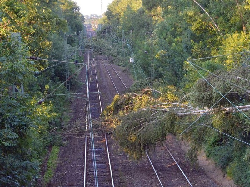 So sah es am Donnerstag noch auf der S-Bahnstrecke zwischen Essen und Bochum aus, hier in Wattenscheid.