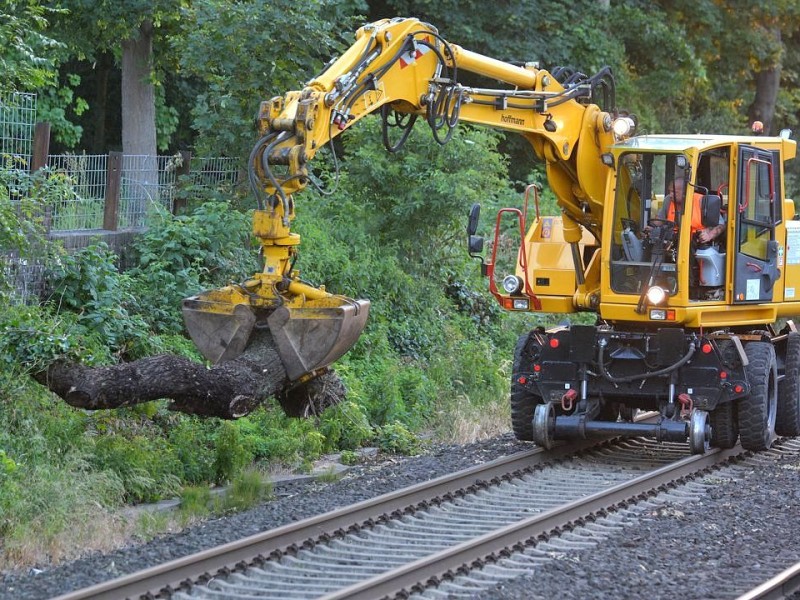 So sah es am Donnerstag noch auf der S-Bahnstrecke zwischen Essen und Bochum aus, hier in Wattenscheid.