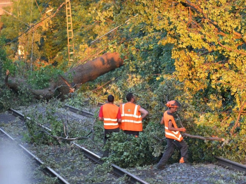 So sah es am Donnerstag noch auf der S-Bahnstrecke zwischen Essen und Bochum aus, hier in Wattenscheid.