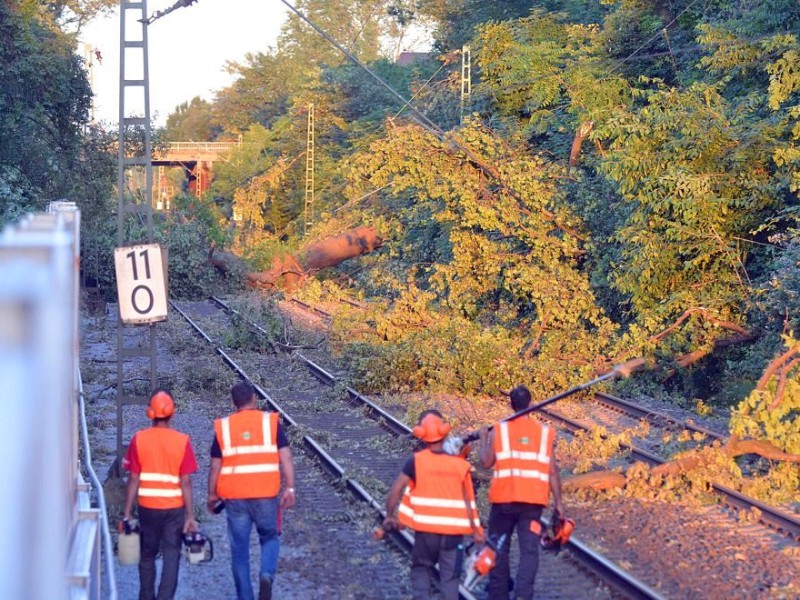 So sah es am Donnerstag noch auf der S-Bahnstrecke zwischen Essen und Bochum aus, hier in Wattenscheid.