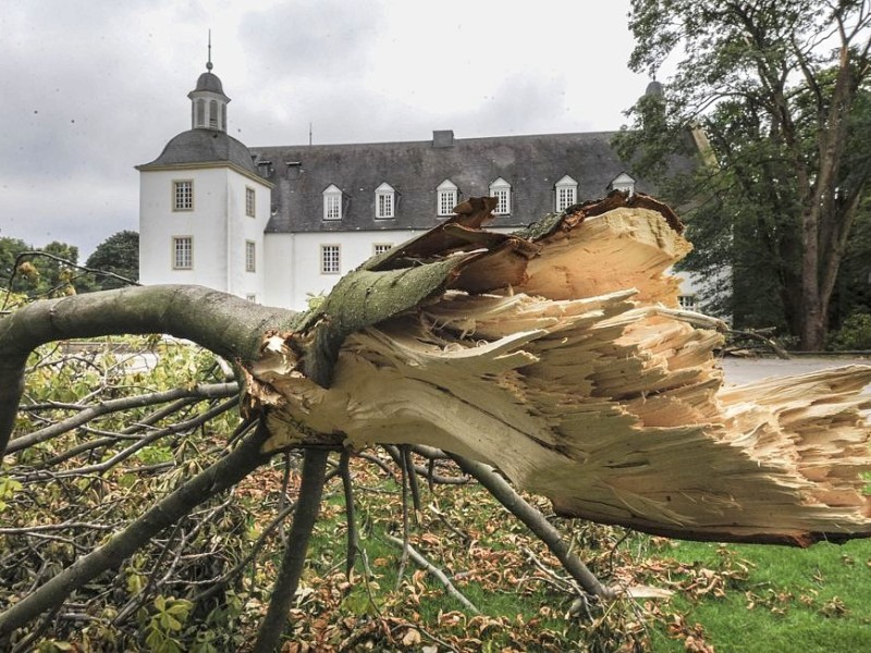 Sturmschäden im Schlosspark Borbeck eine Woche nach dem Sturm.Foto: Knut Vahlensieck