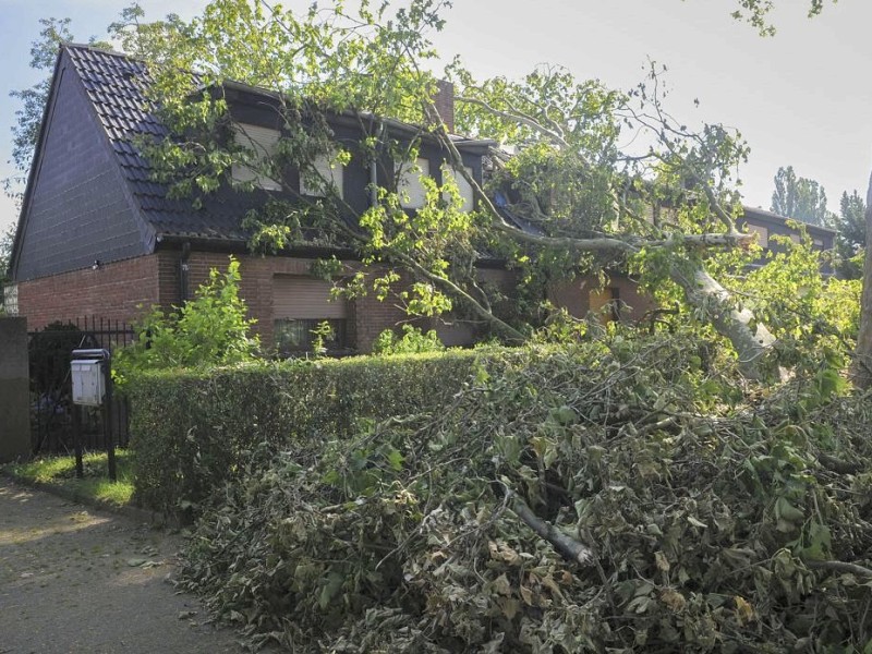 Eine Aufnahme vom 13. Juni 2014. Foto: Knut Vahlensieck