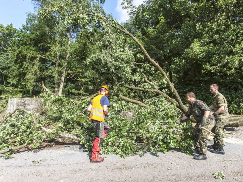 Bundeswehrpioniere helfen in Düsseldorf dabei, von Sturm Ela umgeworfene Bäume zu räumen.