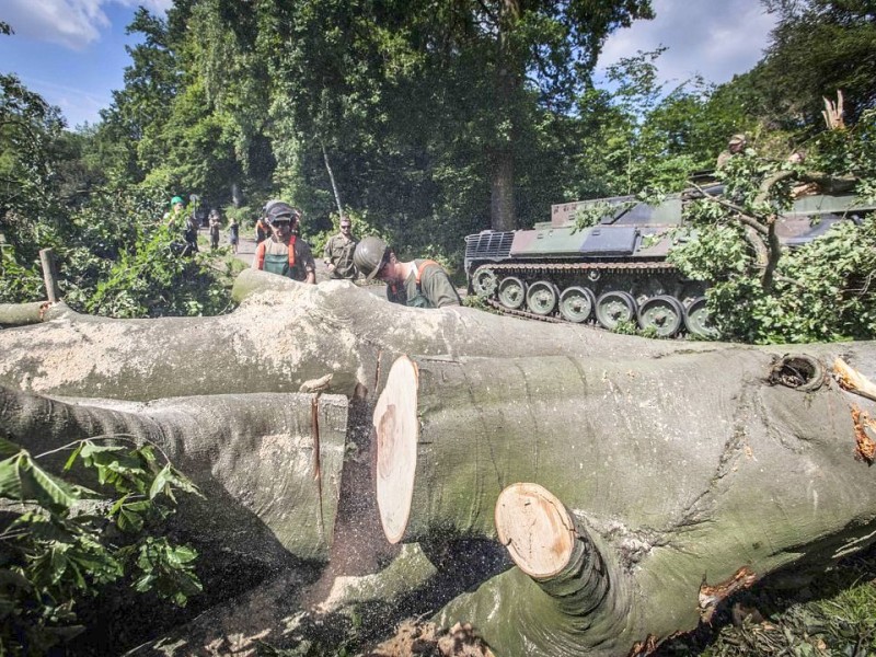 Bundeswehrpioniere helfen in Düsseldorf dabei, von Sturm Ela umgeworfene Bäume zu räumen.