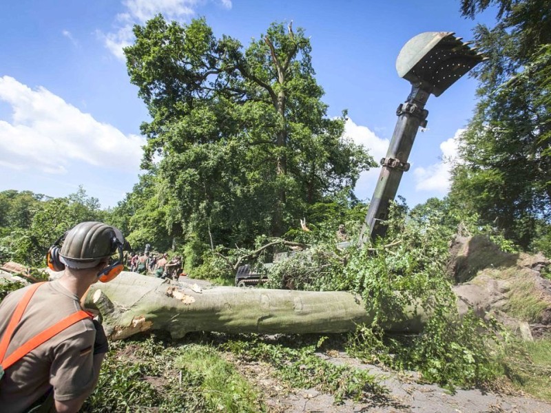 Bundeswehrpioniere helfen in Düsseldorf dabei, von Sturm Ela umgeworfene Bäume zu räumen.