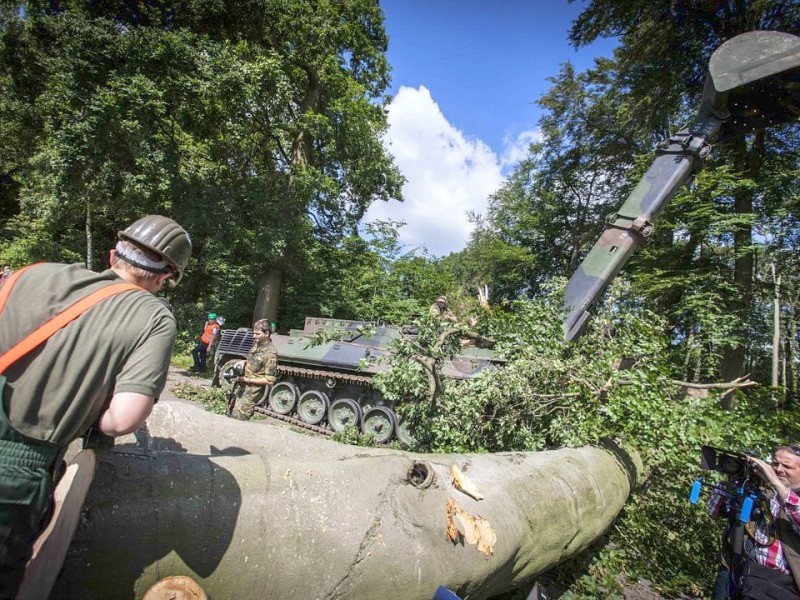 Bundeswehrpioniere helfen in Düsseldorf dabei, von Sturm Ela umgeworfene Bäume zu räumen.