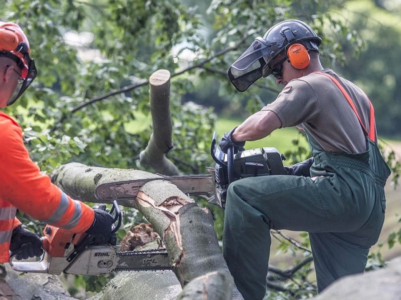 Bundeswehrpioniere helfen in Düsseldorf dabei, von Sturm Ela umgeworfene Bäume zu räumen.