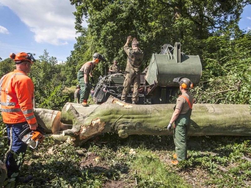 Bundeswehrpioniere helfen in Düsseldorf dabei, von Sturm Ela umgeworfene Bäume zu räumen.