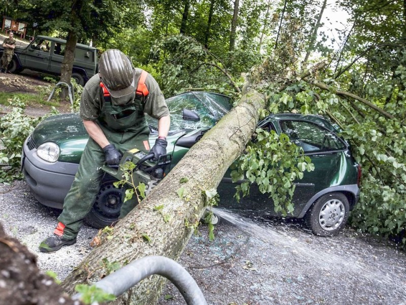 Bundeswehrpioniere helfen in Düsseldorf dabei, von Sturm Ela umgeworfene Bäume zu räumen.