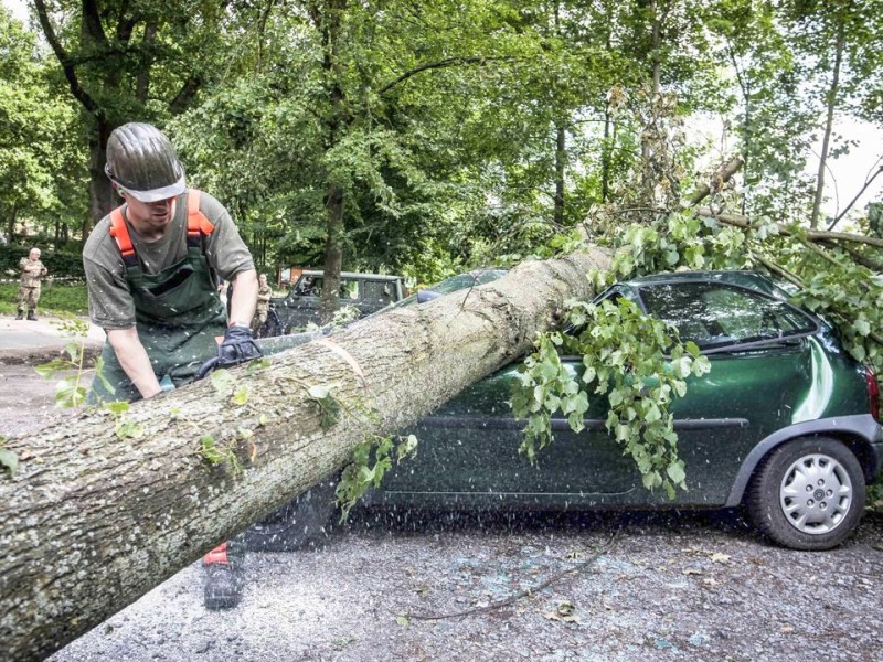 Bundeswehrpioniere helfen in Düsseldorf dabei, von Sturm Ela umgeworfene Bäume zu räumen.