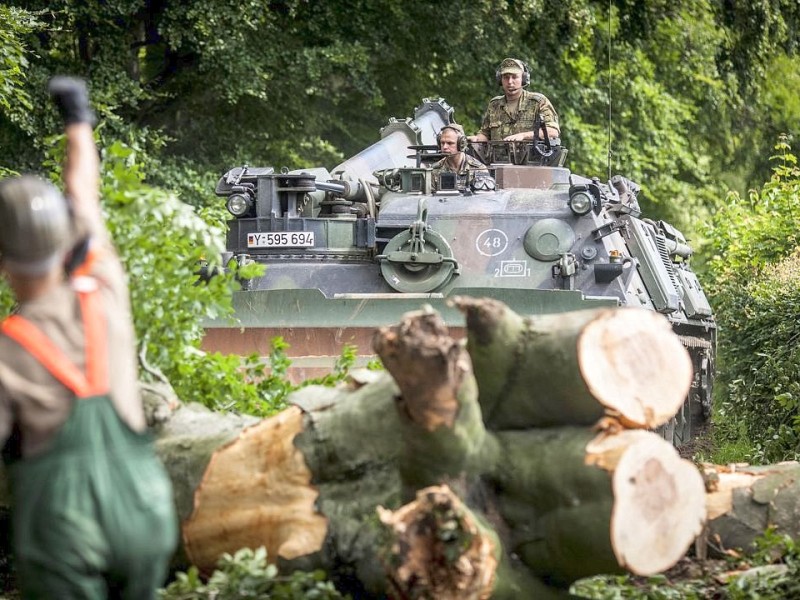 Bundeswehrpioniere helfen in Düsseldorf dabei, von Sturm Ela umgeworfene Bäume zu räumen.