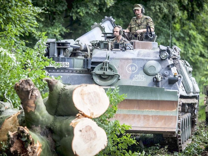 Bundeswehrpioniere helfen in Düsseldorf dabei, von Sturm Ela umgeworfene Bäume zu räumen.