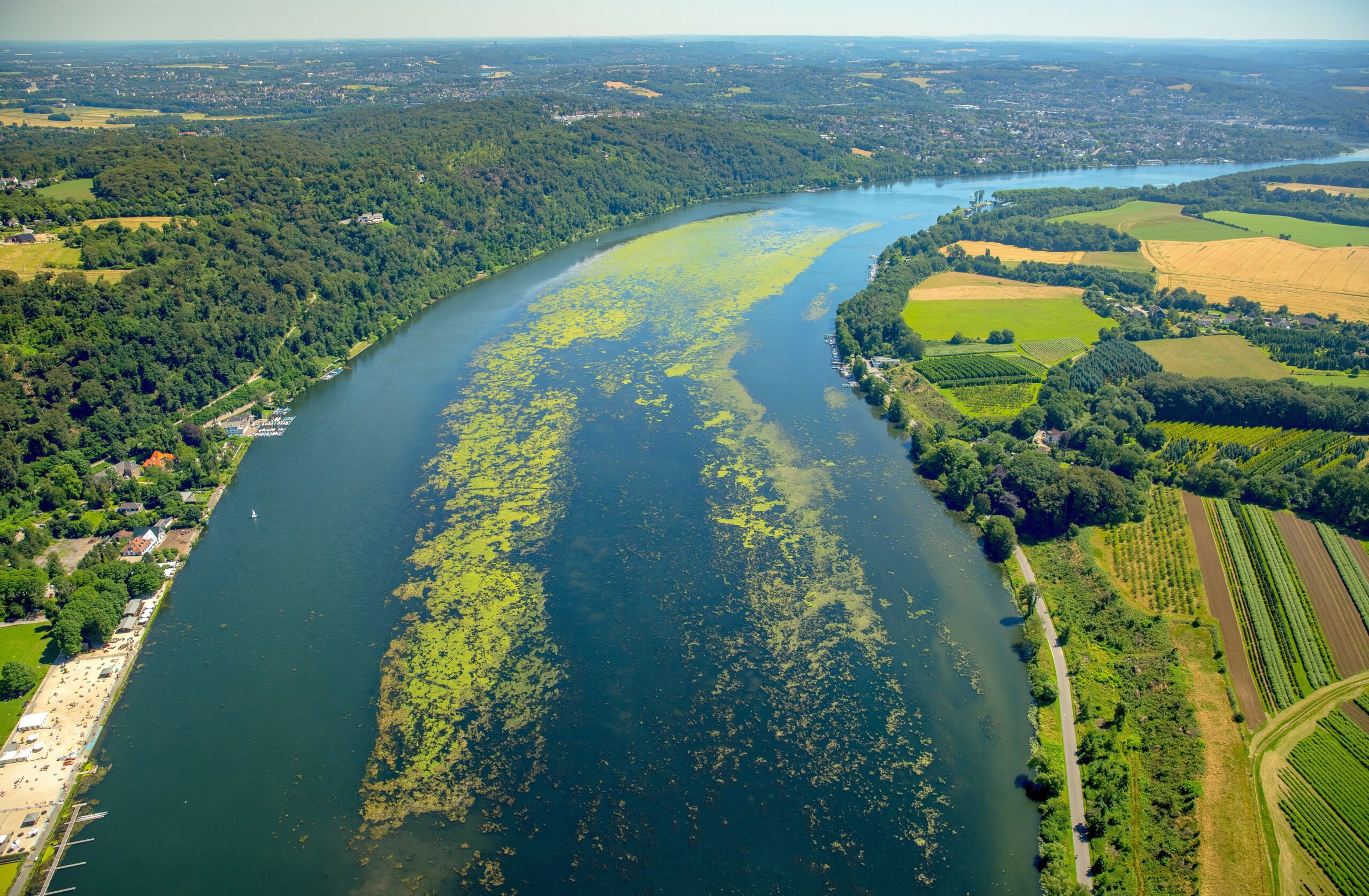 Wie der Baldeneysee in diesem Sommer zuwuchert, wird aus der Vogelperspektive besonders gut deutlich. Viele Arten von Wasserpflanzen haben sich so stark wie noch nie auf dem Baldeneysee ausgebreitet.