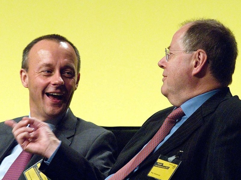 Friedrich Merz und Peer Steinbrück