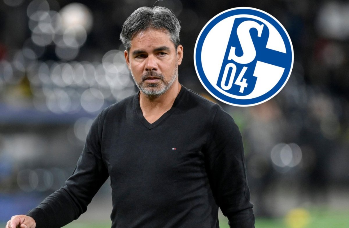 schalke-david-wagner