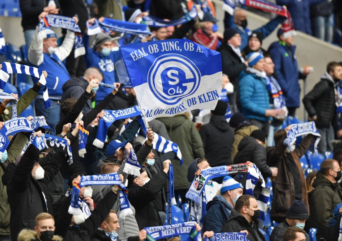 schalke-fans