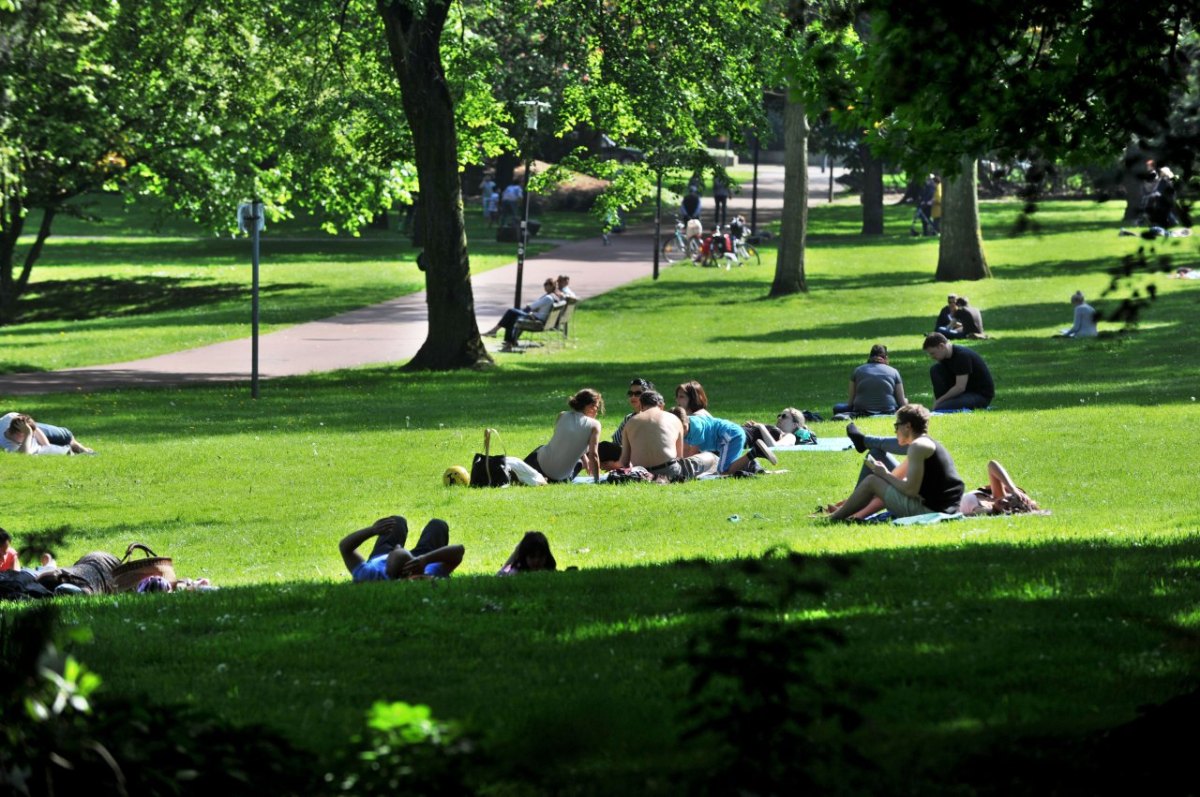 stadtgarten-essen2.jpg