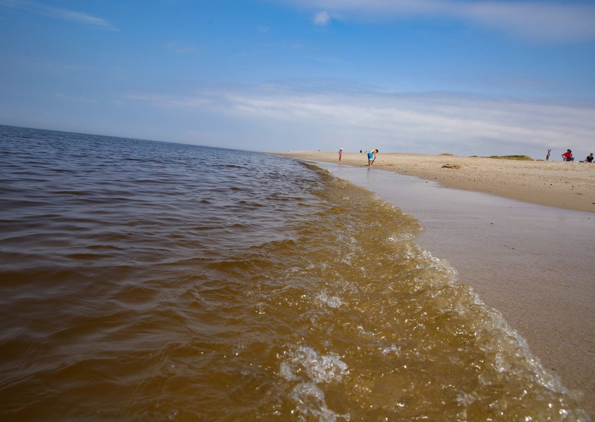 urlaub an der Nordsee Sylt