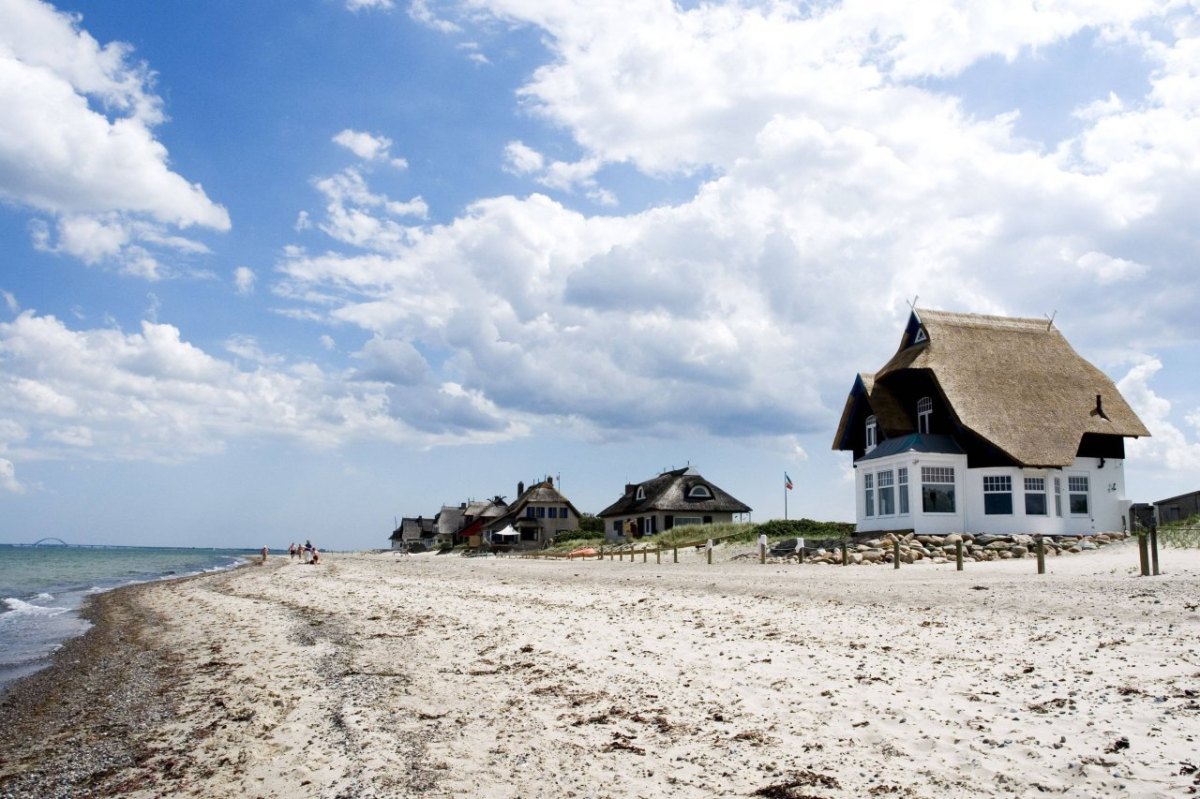 urlaub an der nordsee ferienhaus.jpg