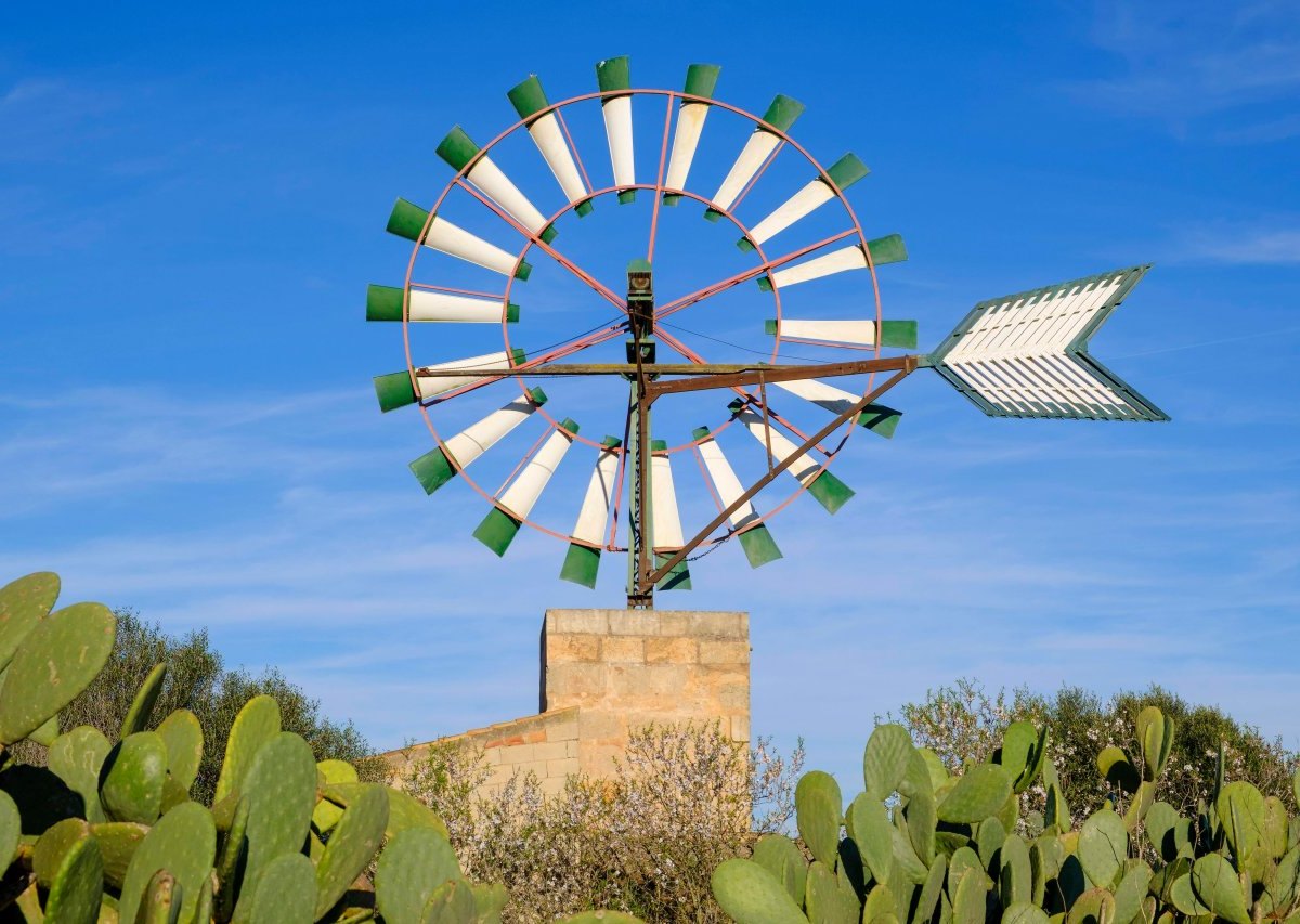 urlaub auf mallorca wetterdienst.jpg