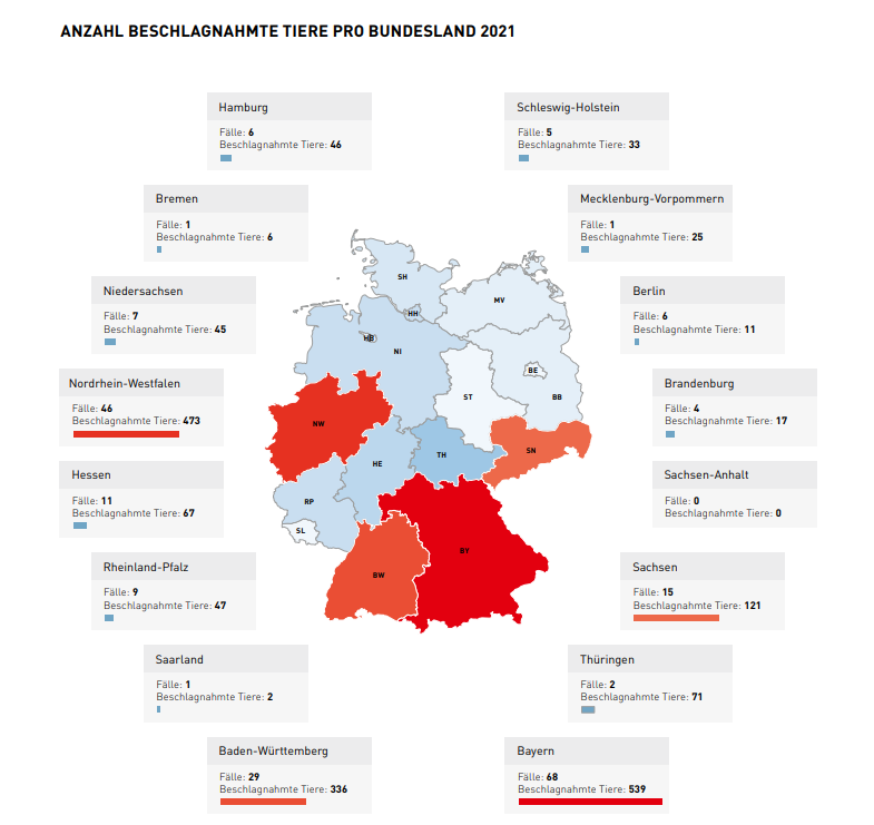 Hund in NRW: Das sind die traurigen Fallzahlen im Kampf gegen den illegalen Weltenhandel von der Tierschutzorganisation VIER PFOTEN. 