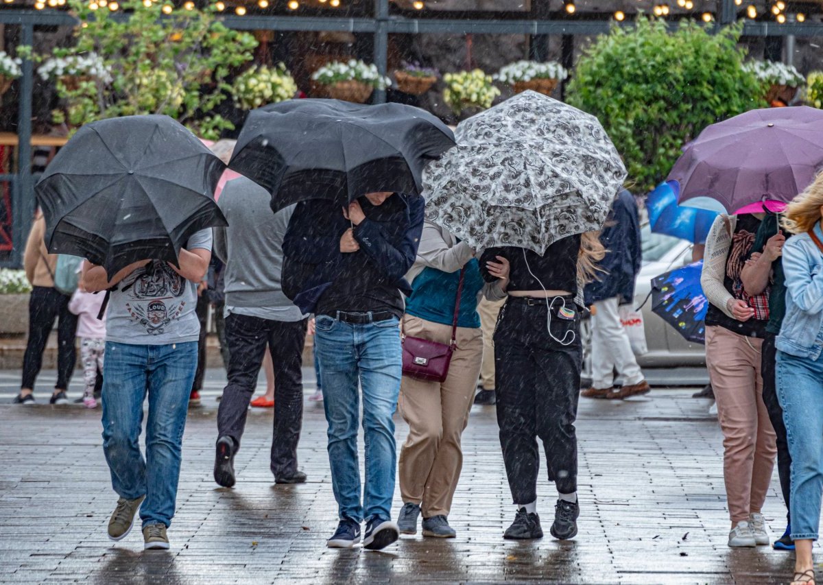 wetter.jpg