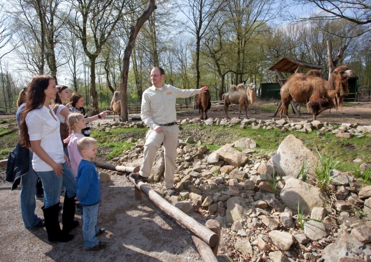 zoom erlebniswelt führung.jpg