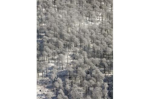 Schnee, Winter, Winterberg.