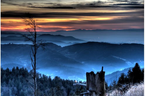 Leserkalender 2011 Gewinner Motive November: Ein Tag geht zu Ende: Wenn die Sonne im dichten Nebel versinkt, verwandelt sich der Schwarzwald in eine mystische Märchenwelt. Foto: Reinhold Herrman