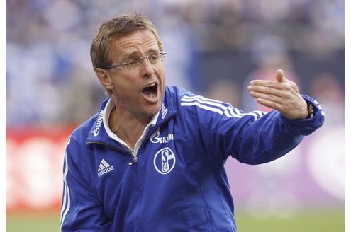 Schalke-Trainer Ralf Rangnick