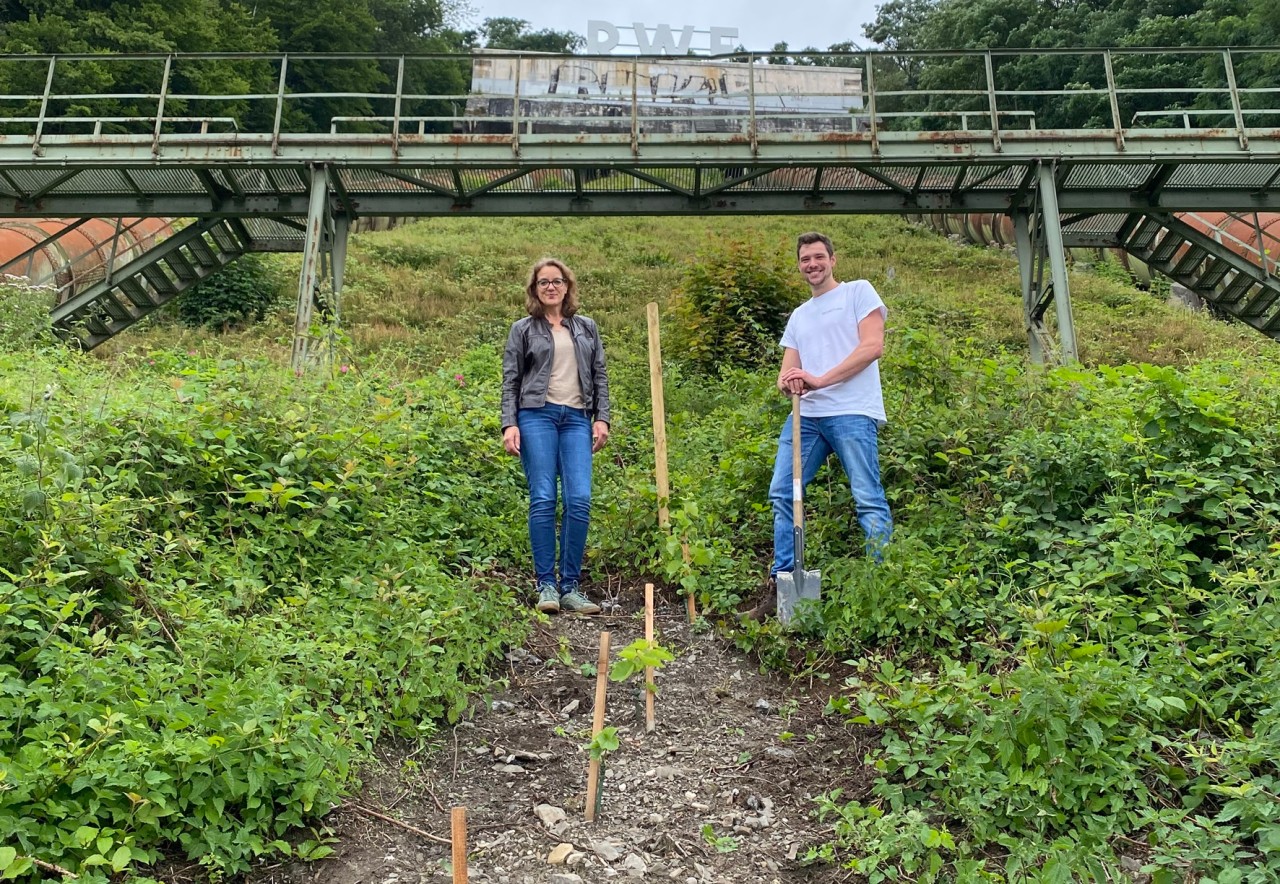 Ursula Mehrfeld, Geschäftsführerin der Stiftung Industriedenkmalpflege und Geschichtskultur, und Elias Sturm, Initiator des PROJECT:vino am Hang des Koepchenwerks zum offiziellen Start der Testphase des Projektes.