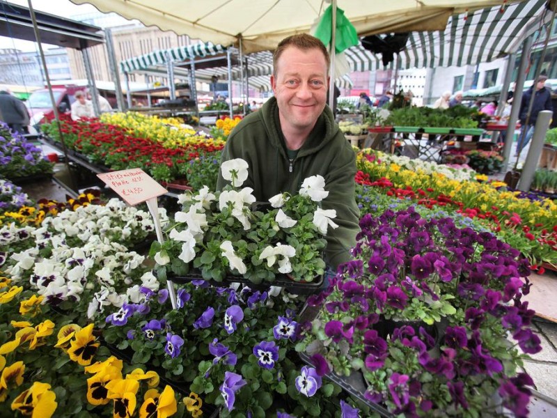 Wer den eigenen Garten jetzt schon bunt leuchten lassen, aber kein Risiko eingehen will, sollte auf frostbeständige Pflanzen wie Stiefmütterchen, Veilchen und Ranunkeln setzen.