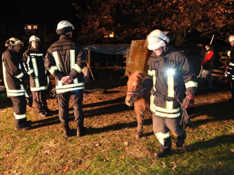 Die Feuerwehr leuchtete das Gelände aus. 