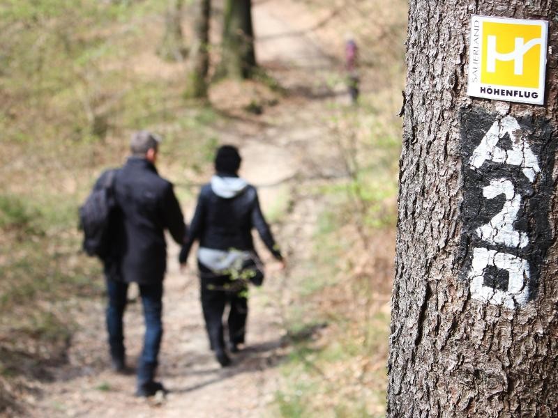 Diese Wanderer sind unterwegs auf dem Achtsamkeitspfad: Die Sauerland-Coaches wollen Lebenshilfe geben - in der Natur statt im Seminarraum.