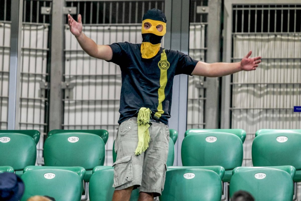 BVB Borussia Dortmund Hooligans VfL Wolfsburg