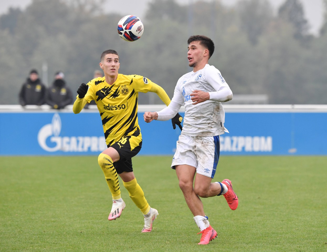 Vor der Saisonunterbrechung gewann die Dortmunder U19 unter anderem das Derby auf Schalke.