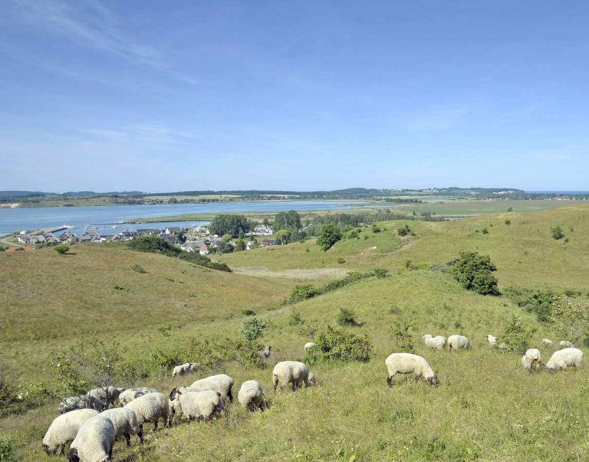 Biosphären-Reservat Südost-Rügen.jpg