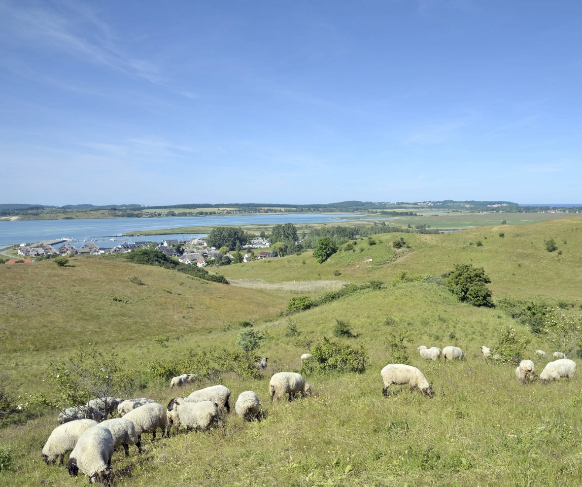 Biosphären-Reservat Südost-Rügen.jpg