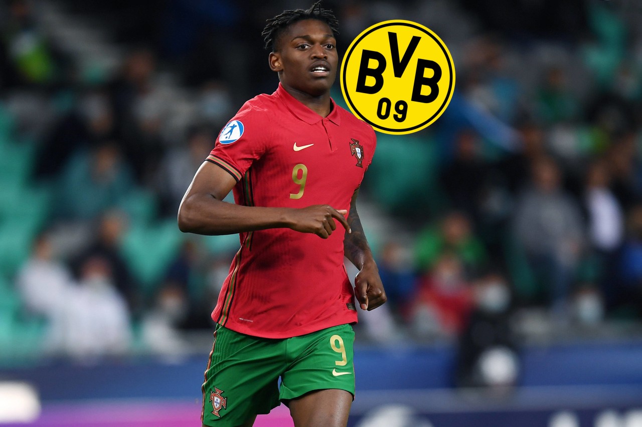 Bei Borussia Dortmund könnte Rafael Leao in die Fußstapfen von Erling Haaland treten.