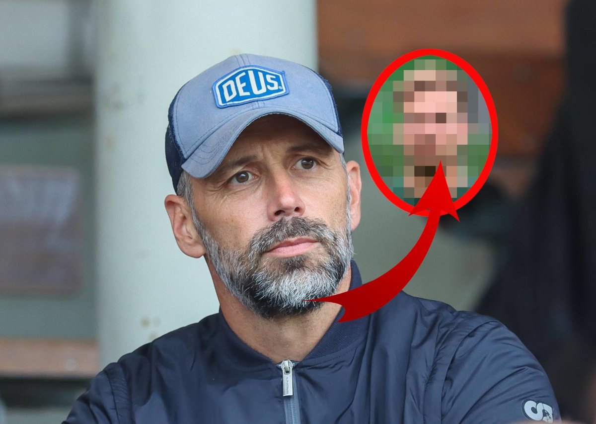 Borussia Dortmund Rose.jpg