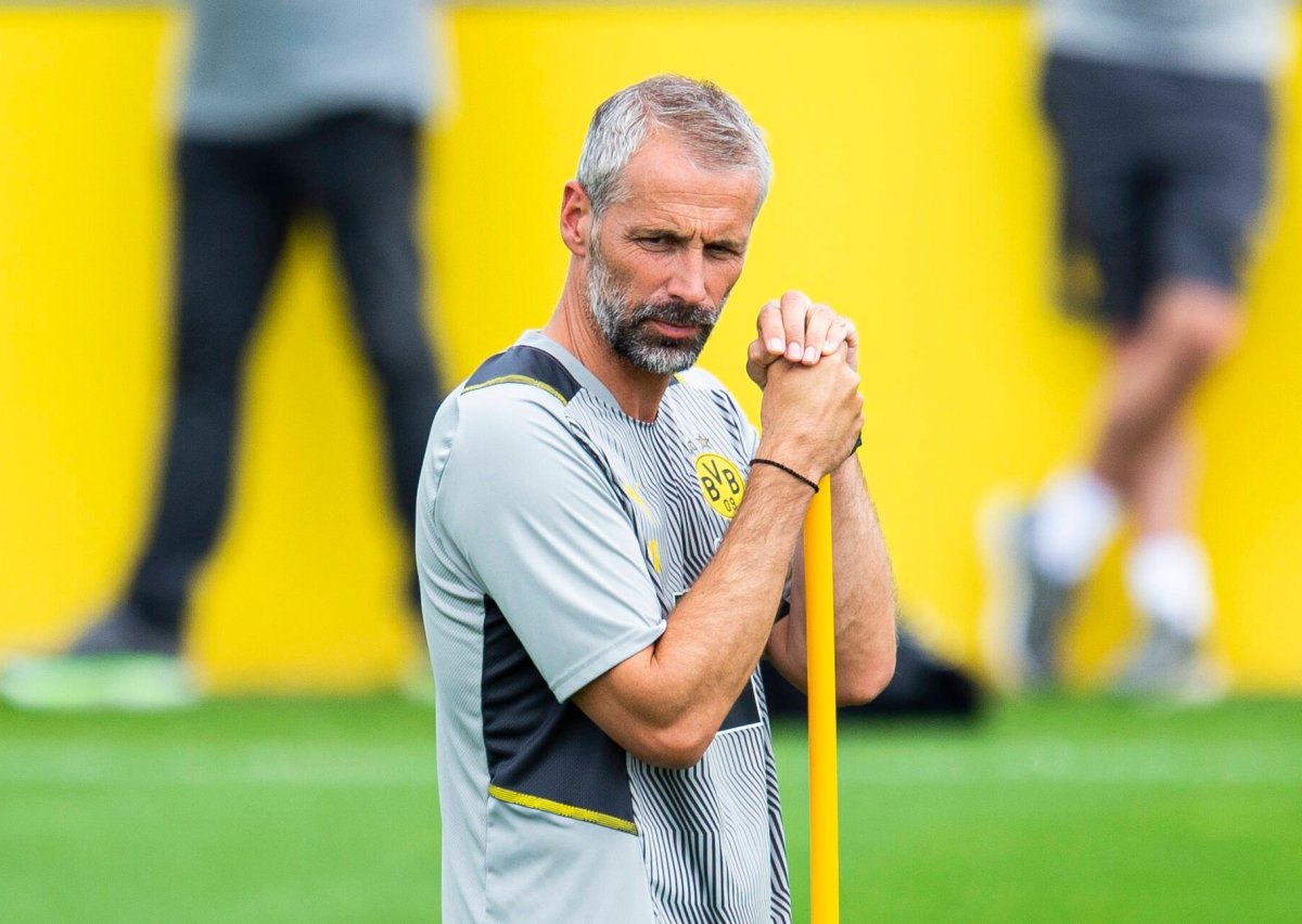 Borussia Dortmund-Rose.jpg