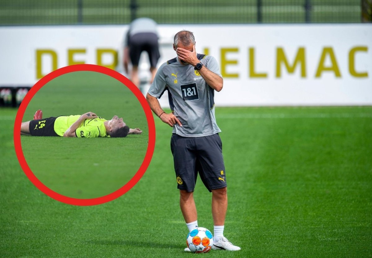 Bvb Meunier.jpg