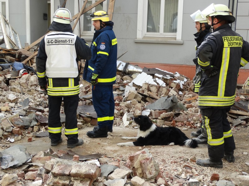 Der treue Hund vom THW hilft der Feuerwehr.