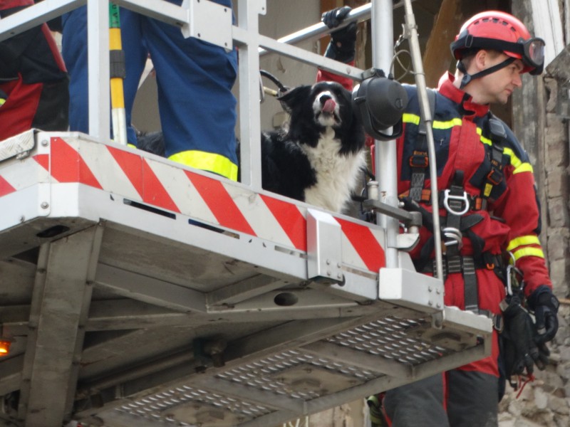 Im halb eingestürzten Haus sucht Hund Dexter nach dem Vermissten. In dem Haus an der Teutonenstraße hatte es am Freitagmorgen eine Explosion gegeben. 