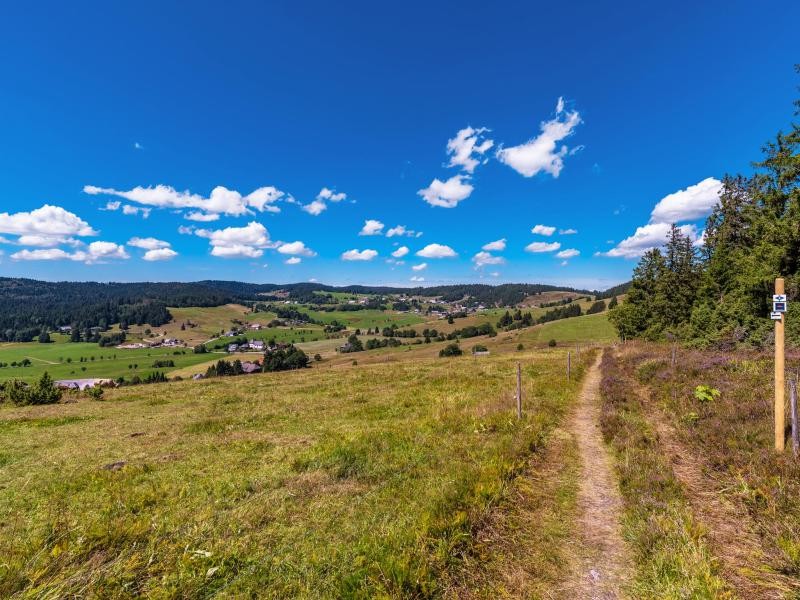 Der Ibacher Panoramaweg führt in Richtung Engländerhütte.