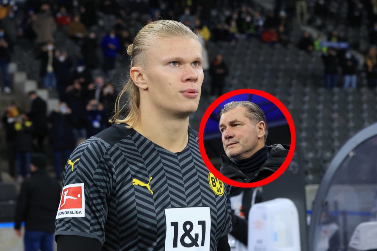 Erling Haaland Zorc BVB.jpg