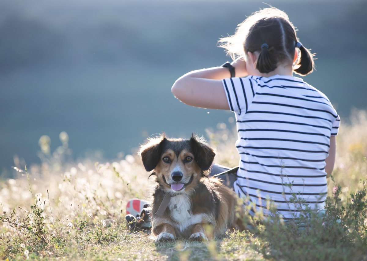 Essen_Hund.jpg